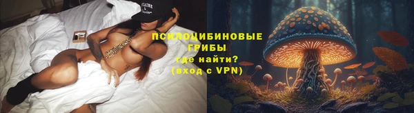 мет Осташков