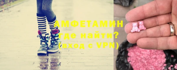 гашик Пересвет