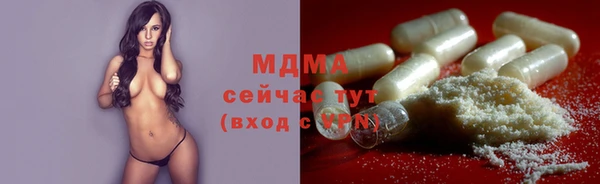 гашик Пересвет