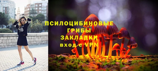 apvp Остров