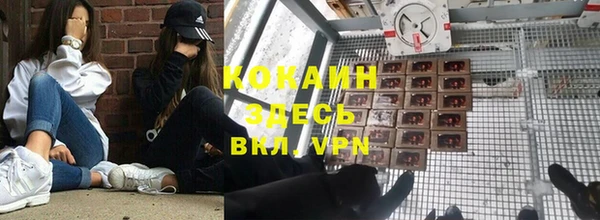 гашик Пересвет